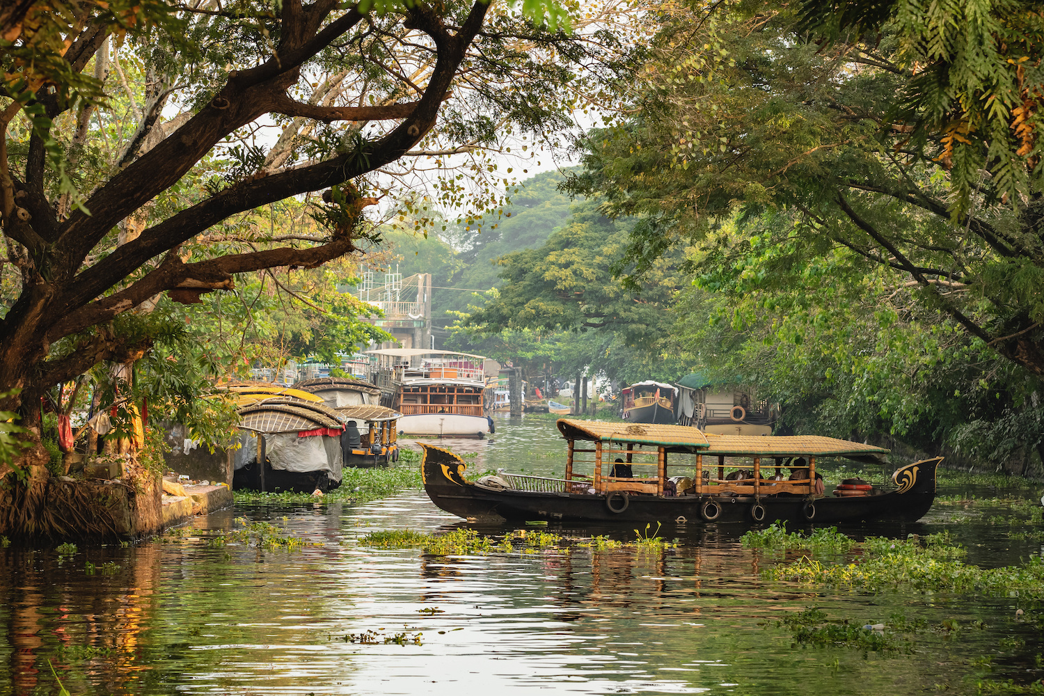 Kerala Tour Package - 4 Nights and 5 Days