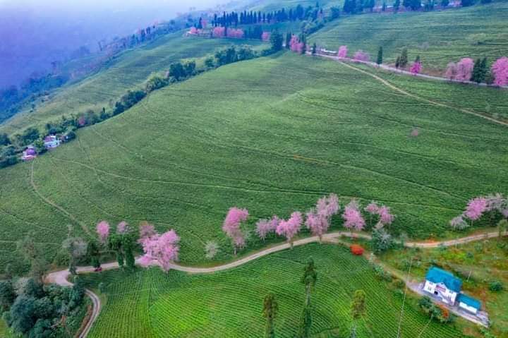 Lepchajagat Darjeeling Tour - 3 Nights and 4 Days