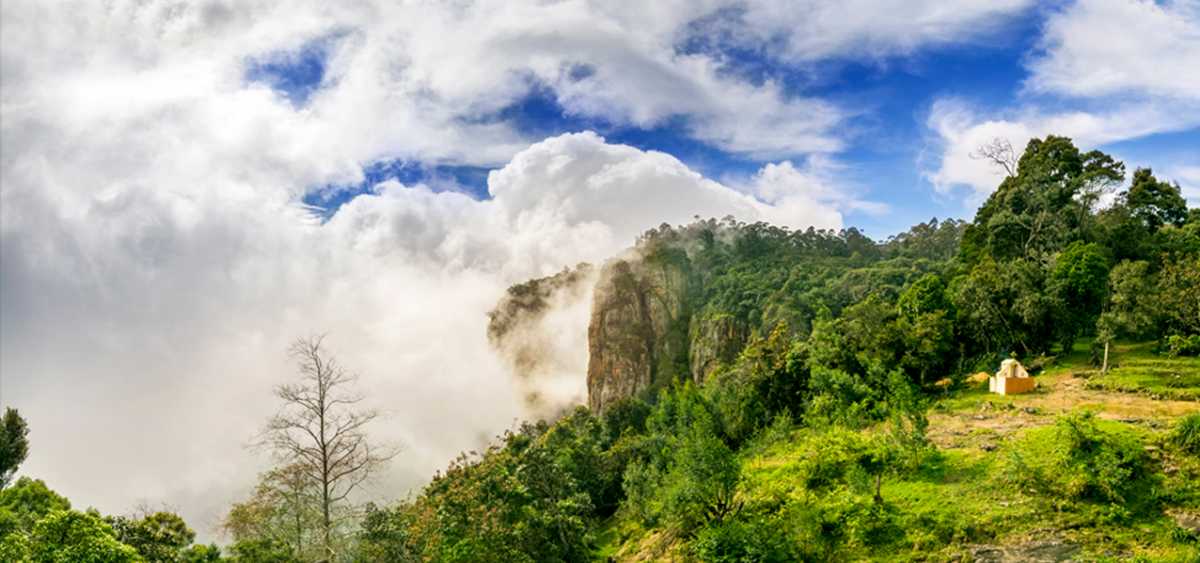 Munnar Ooty Kodaikanal Tour Package - 6 Nights and 7 Days