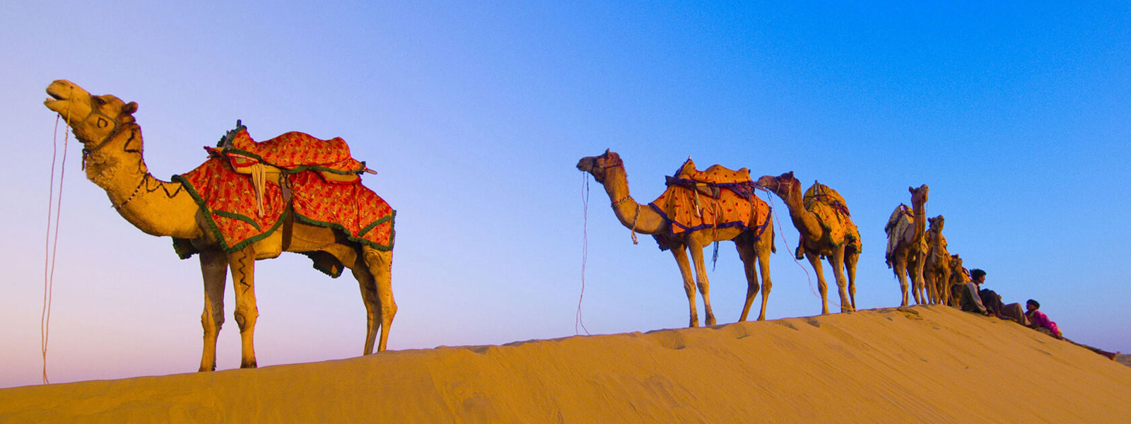 Mount Abu Ambaji Tour Package - 3 Nights and 4 Days From Ahmedabad