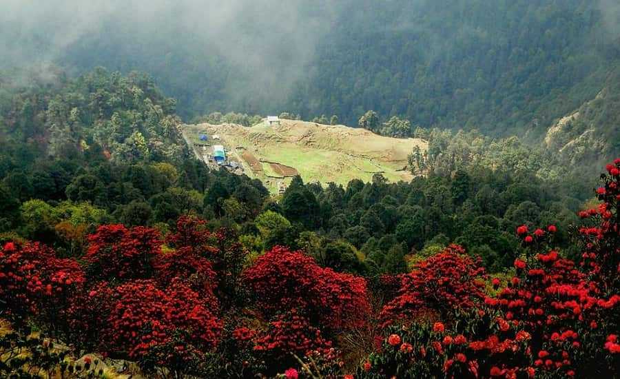 Auli-Chopta Tour Package- 3 Nights and 4 Days From Haridwar