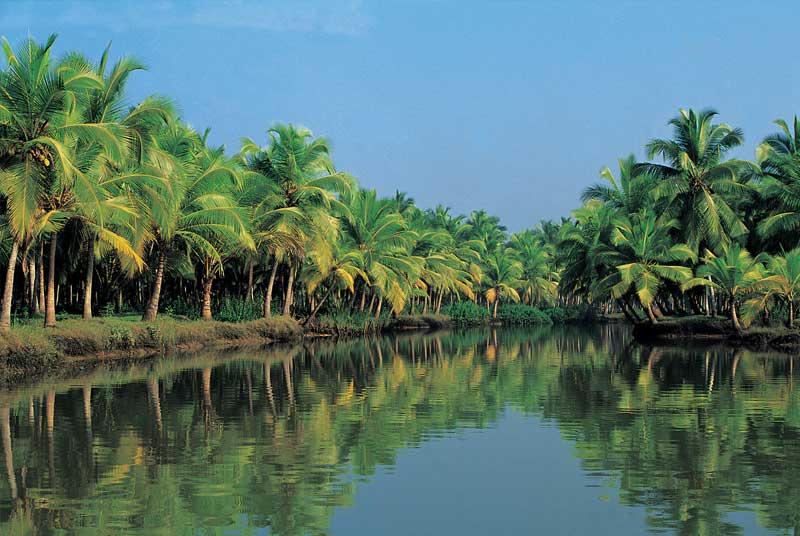 Kerala Tour Package- 3 Nights and 4 Days