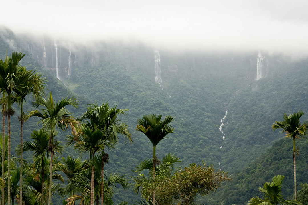 Shillong Guwahati-Cherrapunjee Tour Package - 3 Nights and 4 Days