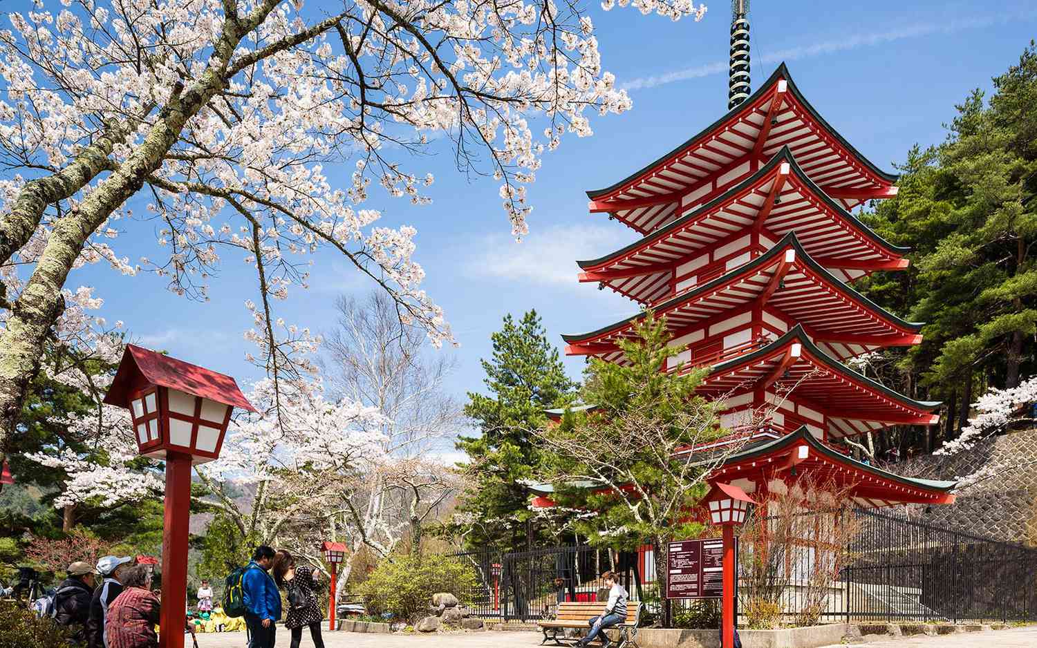 Japan Tour Package  4 Nights and 5 Days