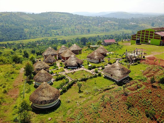 Uganda rwanda Gorilla and Wildlife Safari Tour Package  7 Nights and 8 Days